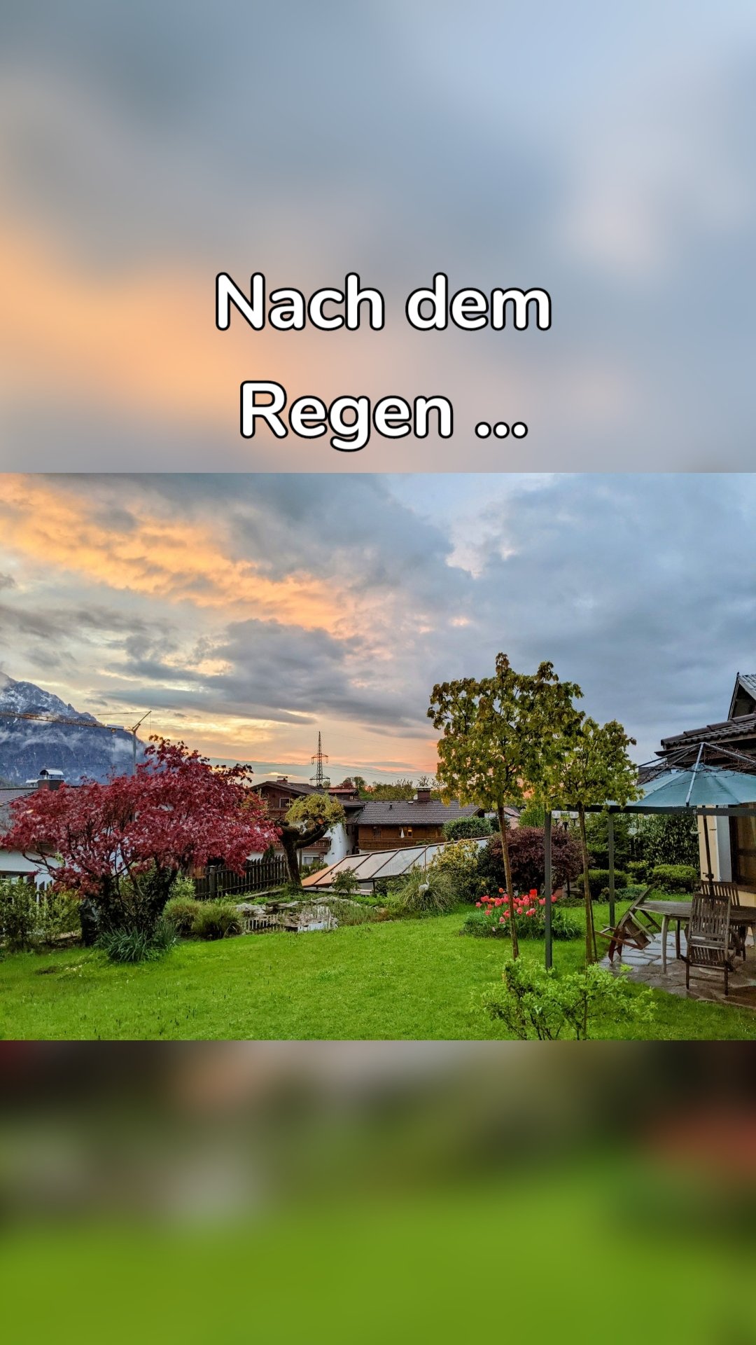Nach dem Regen ...