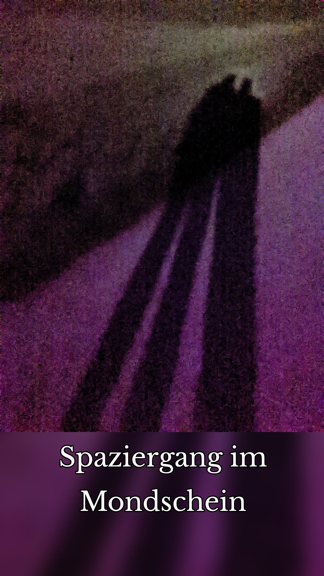 Spaziergang im Mondschein