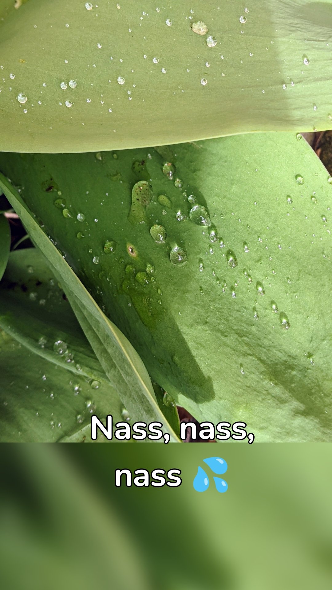 Nass, nass, nass 💦