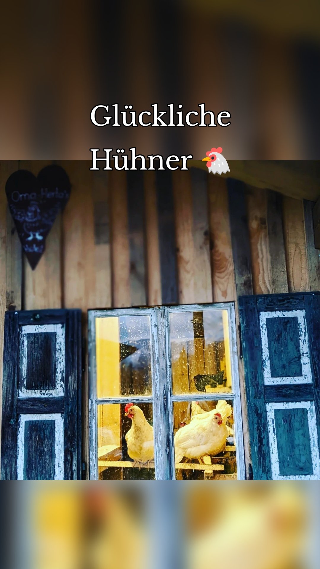 Glückliche Hühner 🐔
