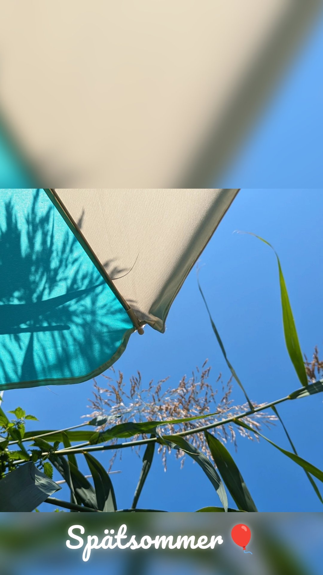 Spätsommer🎈