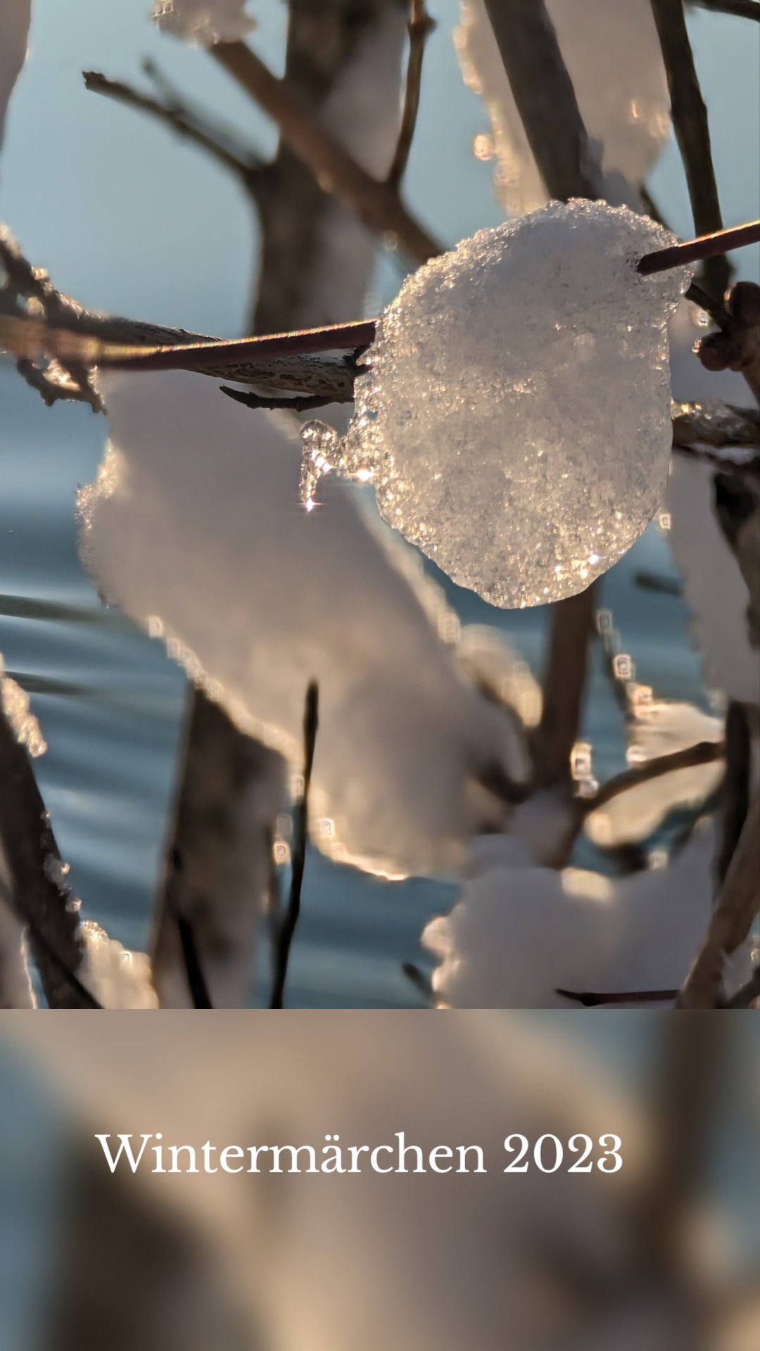 Wintermärchen 2023